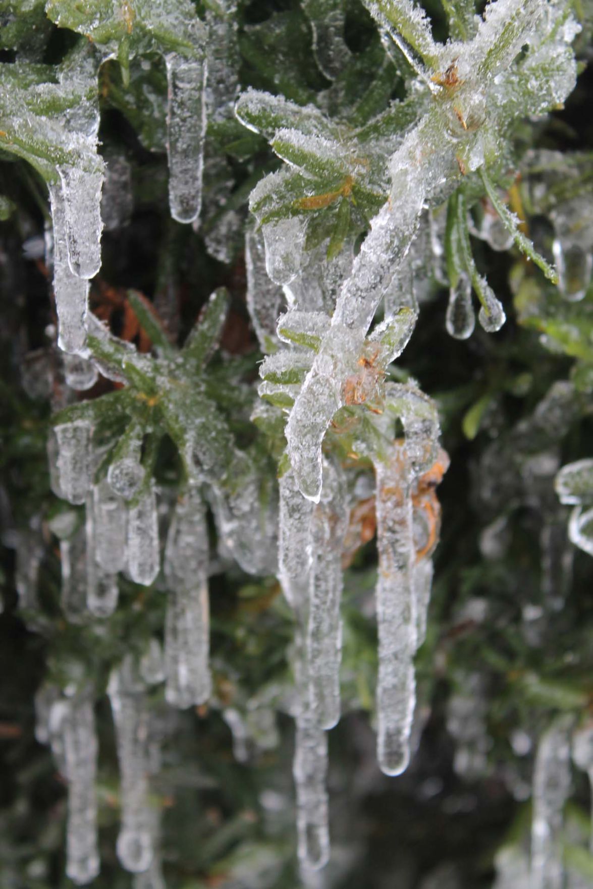 Ice storm hits Beaver Dam